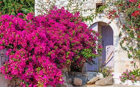 Iliana'S House - Spacious Cave House In The Center Of Areopolis